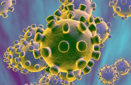 Como se prevenir do coronavírus (SAR-CoV-2)?