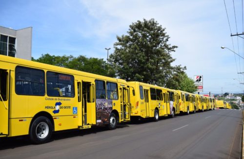 RENOVAÇÃO DO CARTÃO DO IDOSO AMPLIA PARA NOVAS FAIXAS ETÁRIAS EM GUARAPUAVA